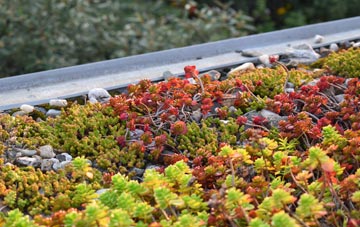 the cost of Tinwell green roof installation